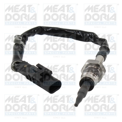 Sensor, exhaust gas temperature